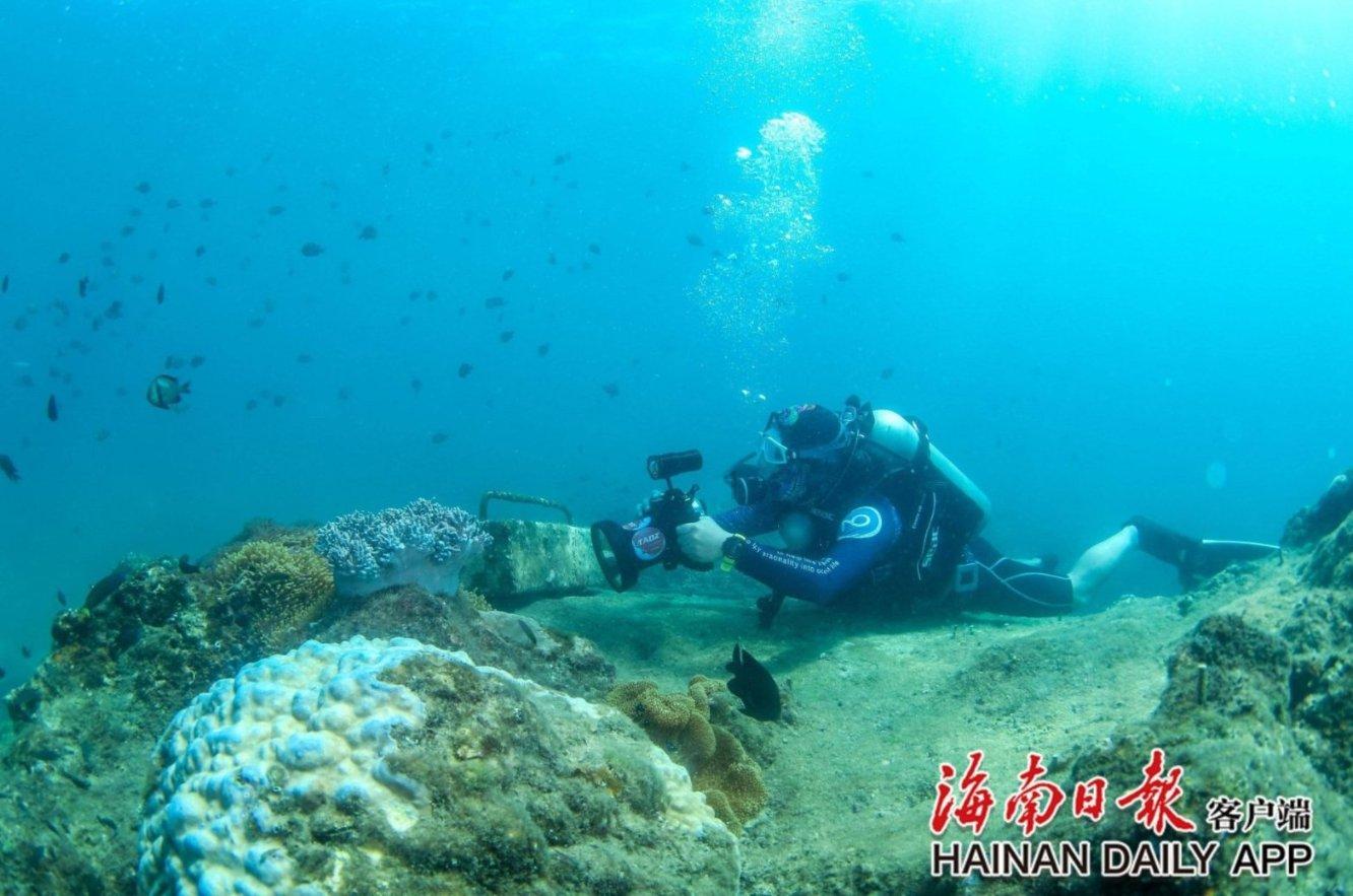 挫折感会让人失去斗志吗?-汇集了丰富的内容,带你走进知识的海洋